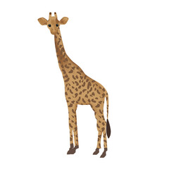 Giraffe isolated on white background. Vector.