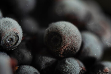 Blueberry background texture nature. Top view blue