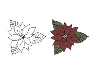 Vector line illustration of Christmas red flower with leaves. Hand drawn Poinsettia isolated on white background.