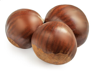 Horse chestnuts  isolated on white background. Raw chestnuts macro.