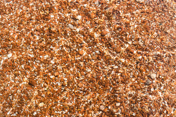 Colorful sea pebbles under the water. Sea background. Texture.