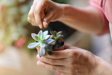 Fotografía stock de jardinera mostrando el cuidado de sus bellas plantas, producto de su trabajo...