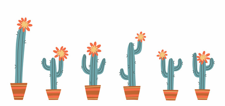 Set of cacti with flowers in a pot. Hand drawn vector illustration. Image of cactus on a white background