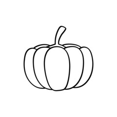 Pumpkin vector outline illustration. Cute pumpkin on white background. Element for autumn decorative design, harvest.