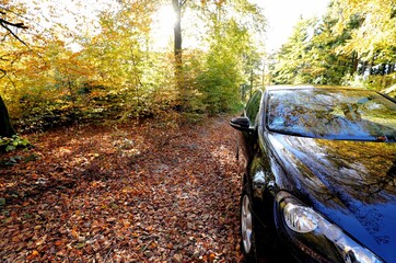 Auto im Herbstwald