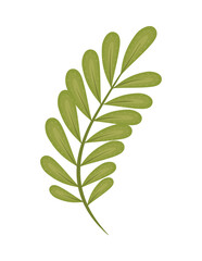 leaves vegetation nature