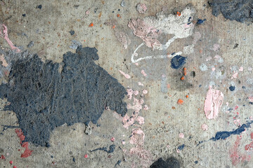 crab on the floor