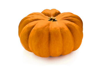 Pumpkin on a white background