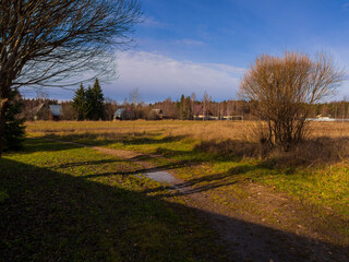 Golden autumn in a village near Moscow