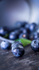 blueberry  close up on black background