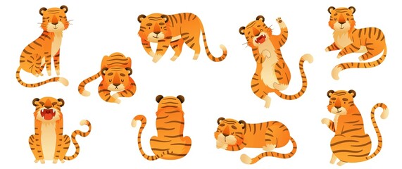 Set of tigers in various poses. Wild predator animals cartoon vector illustration - obrazy, fototapety, plakaty