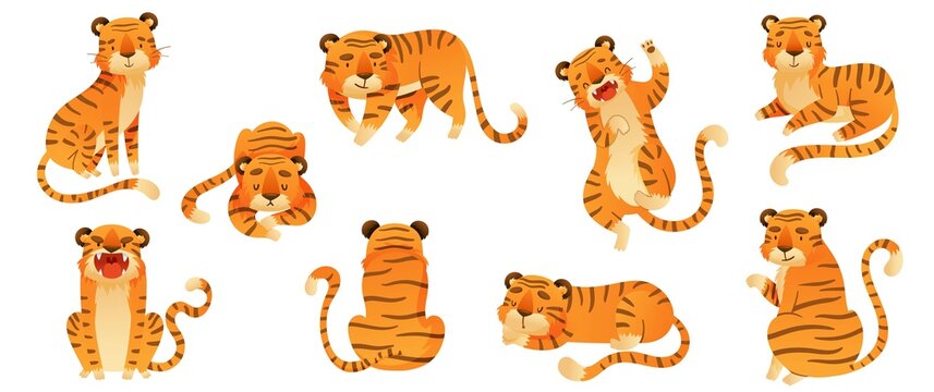 Set of tigers in various poses. Wild predator animals cartoon vector illustration