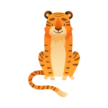 Cute tiger. Front view of sitting wild predator animal cartoon vector illustration