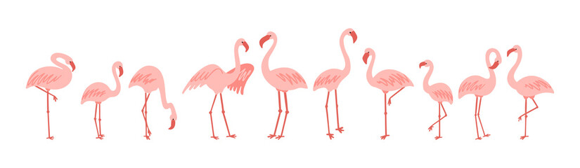 Standing cute pale pink flamingo vector clipart - obrazy, fototapety, plakaty