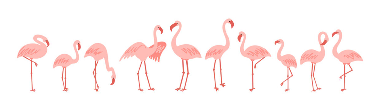 Standing cute pale pink flamingo vector clipart