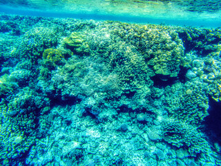 Great coral reefs at Red Sea during sunny summer day.