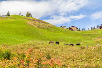 Around Warth in Austria