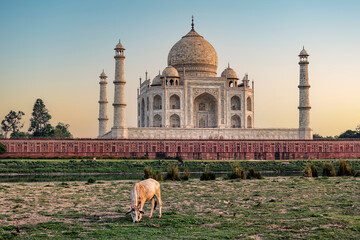 Taj Mahal mausoleum in Agra, Uttar Pradesh, India