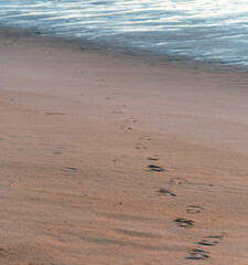 Footprints on a beach leading down to the Atlantic Ocean.
