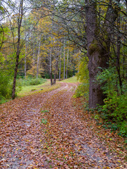 Winding road in the Vermont landscape in early Autumn.