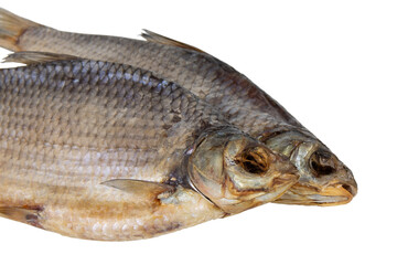 dry dried fish isolated on a white background