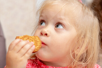 A little two-year-old girl eats cookies and looks up carefully