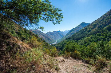 landscape in the mountains