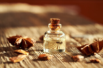 A bottle of essential oil with dried star anise, close up