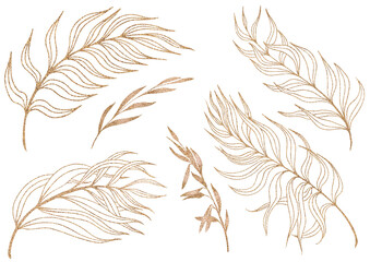 Set of leaves and branches. Gold line illustration isolated on white background.
