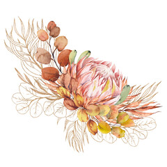Exotic protea flower and eucalyptus bouquet. Watercolor and gold line illustration isolated on white background.