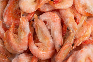 Fresh shrimps in ice. Top view.