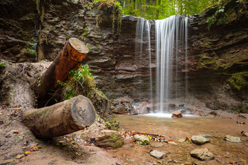 Fototapeta premium Waterfall cascade flowing into a stream with tree trunks