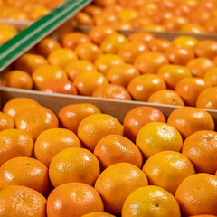 Tangerine boxes placed, close-up view with unfocused background.
