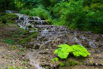 Veil waterfall in Valley of Szalajka