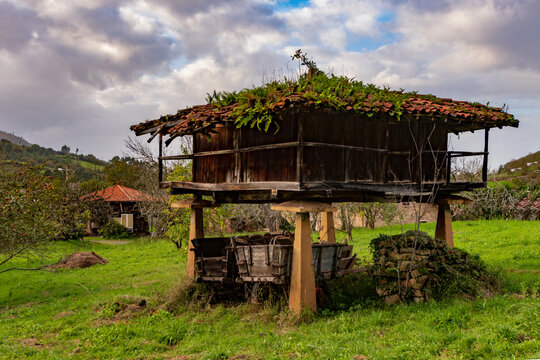 Typical rural horreo in Asturias - Spain