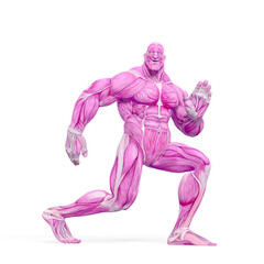 bodybuilder muscle maps is doing a free robot dance in white background