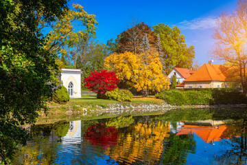 Obraz premium Autumn scene, fall, red and yellow trees and leaves in sun light. Beautiful autumn landscape with yellow trees and sun. Colorful foliage in the park, falling leaves natural background