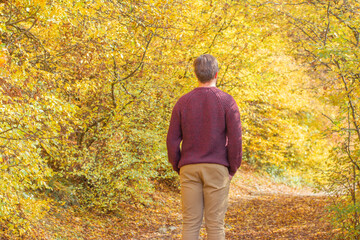 Back view freedom man enjoying autumn travel in the forest in among trees seasonal leaves