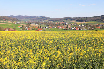 Idyllic landscape in Wiehengebirge, Westphalia, Germany