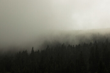 Obraz premium mgliste popołudnie