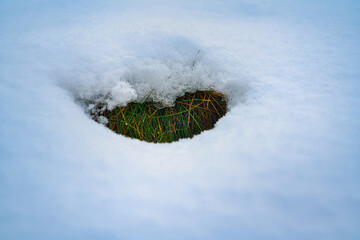 Gras Schnee Winterlandschaft