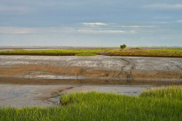 Wadden Sea at the entrance to the cutter port in Fedderwardersiel (German North Sea coast) at low tide