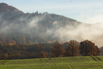 Śniadanie na wypasie © Lukasz