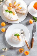 Portion of layered cheesecake with apricot on light background. Apricot tart. Fruit pie.