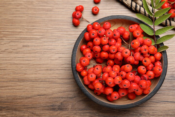 Fresh ripe rowan berries and leaves on wooden table, flat lay. Space for text