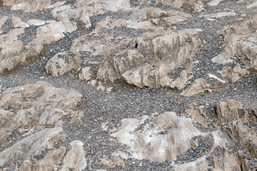 texture of brown marble stone with fine black gravel