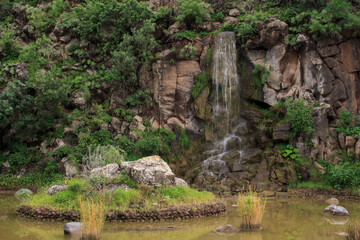Jardim Botânico - Gran Canária