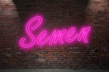 Neon semen (in german Samen) lettering on Brick Wall at night