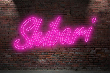 Neon Shibari Japanese Bondage lettering on Brick Wall at night