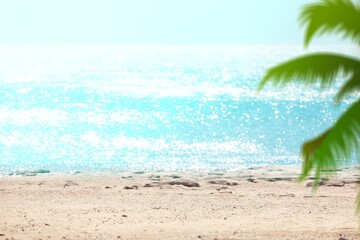 Fototapeta na wymiar Blur beautiful nature green palm leaf on tropical beach, travel concept.